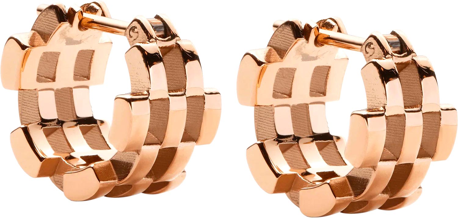 Стальные серьги хаггисы Daniel Wellington Link-Inspired-5-Rows-Earrings-RG