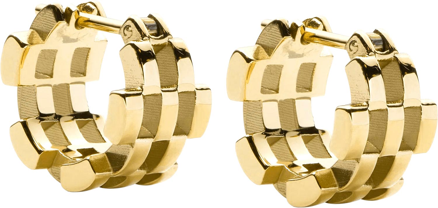 Стальные серьги хаггисы Daniel Wellington Link-Inspired-5-Rows-Earrings-G