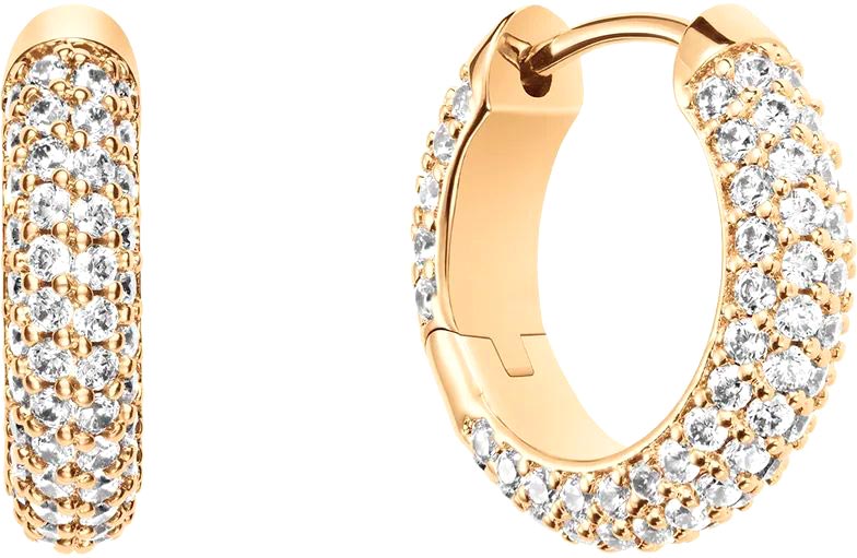 Стальные серьги кольца Daniel Wellington Pave-Crystal-Earrings-G с кристаллами
